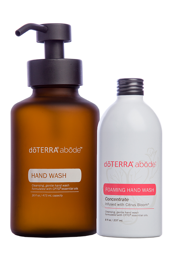 Abode Handwash with Dispenser