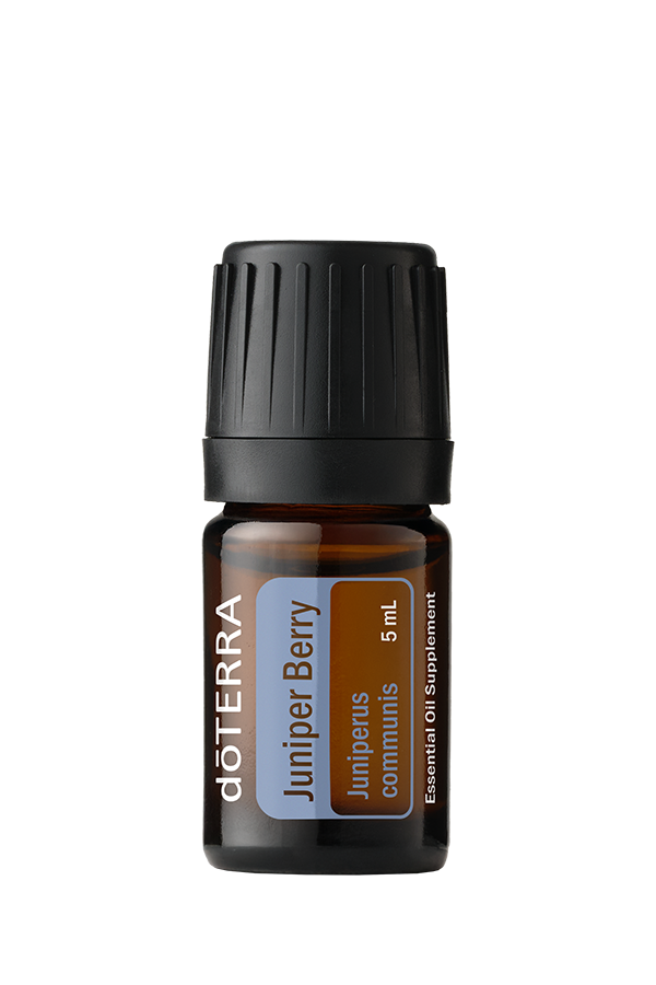 Juniper Berry